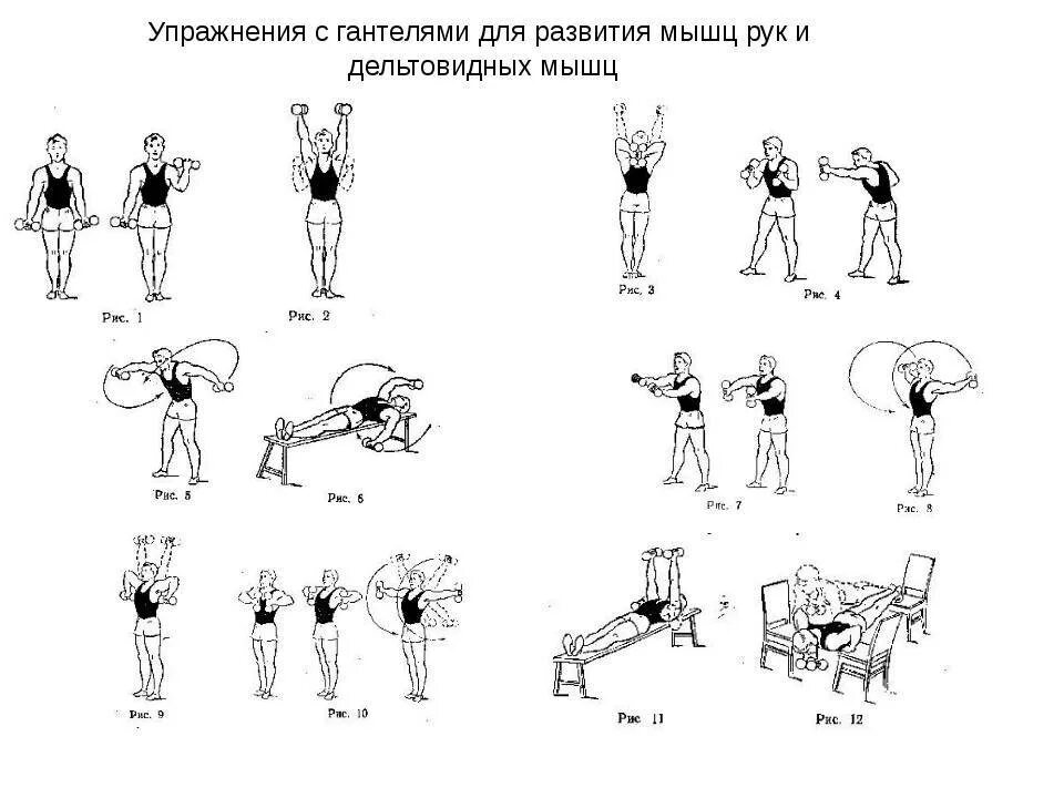 Тренировки с гантелями и штангой дома