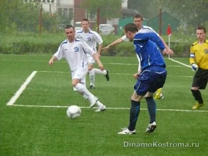 Сайт динамо кострома