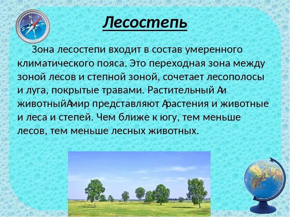 Сообщение по окружающему. Доклад о природной зоне. доклад по окружающему миру 4 класс. лесостепь презентация. зона лесостепи россии.