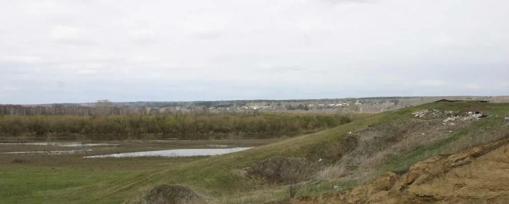 Тогучинский район деревня голомыскино фото Сайт школы тогучинского фото сборник
