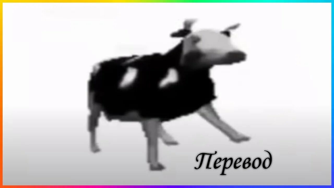 Polish cow текст. Корова танцует. Перевод польская корова танцует. Польская корова Мем. Польская корова перевод.