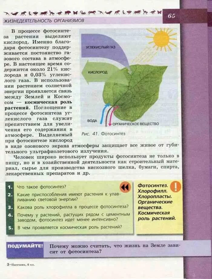 Краткое содержание биология 5 класс параграф 21. Биология. 6 Класс. Учебник. Страницы учебника по биологии 6 класс Пасечник. Биология 6кл Пасечник учебник. Биология 6 класс учебник Пасечник.