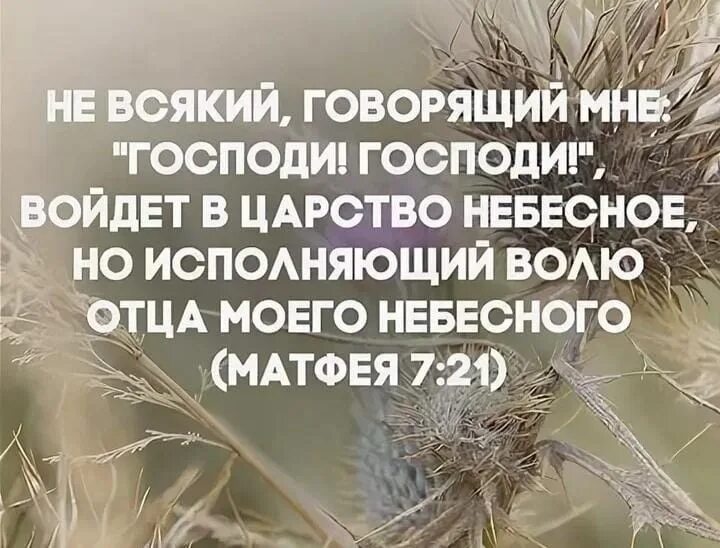 Без воли отца. Не всякий говорящий мне Господи. Исполняющий волю Божью. Не всякий говорящий мне Господи Библия. Не всякий говорящий мне Господи войдет в Царствие небесное.