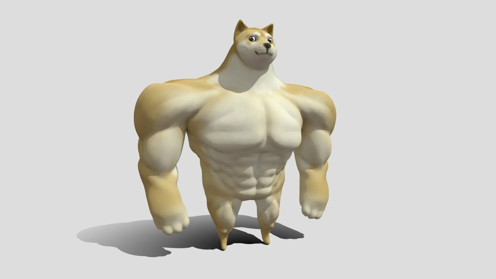 Качок чимс. Buff Doge 3d model. Doge качок. Качок доге 3д. 3d модель качок.