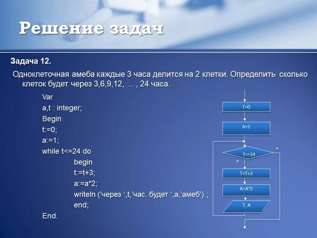 Циклический алгоритм задачи. Циклические алгоритмы 9 класс Информатика. Циклические алгоритмы задачи с решением 8 класс. Одноклеточная амеба каждые 3 часа делится на 2 клетки. Алгоритм 12 6 3