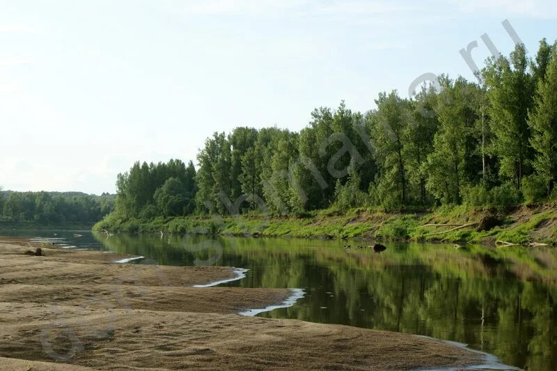 Уровень в реке чумыш. Река чумыш алтайский край. чумыш залесово. золотые пески чумыш.