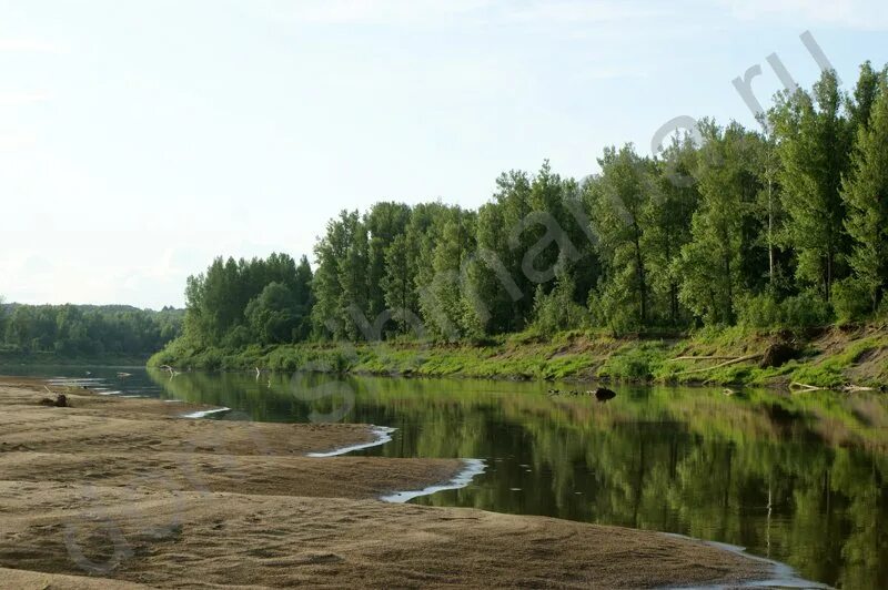 Уровень воды в реке чумыш. Река Чумыш Алтайский край. Чумыш Залесово. Золотые Пески Чумыш.