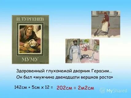 Мужчина двенадцати вершков роста