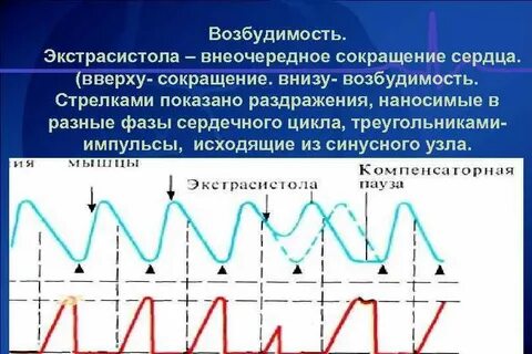 Разные фазы
