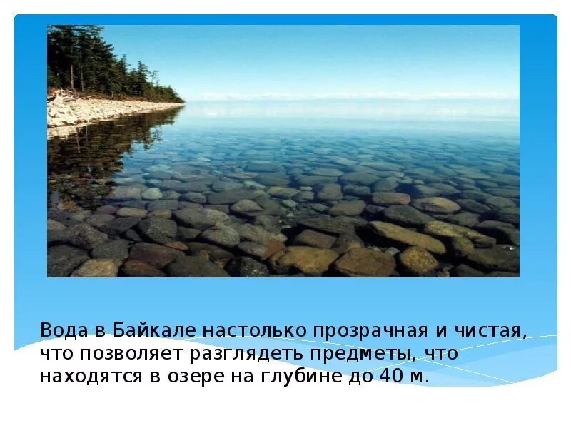 Факты про озеро байкал. Озеро Байкал интересные факты. Интересные факты про озера. Факты о Байкале. Интересное о Байкале.