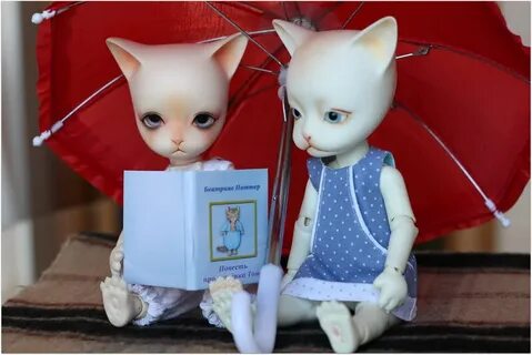 Кот и шмот