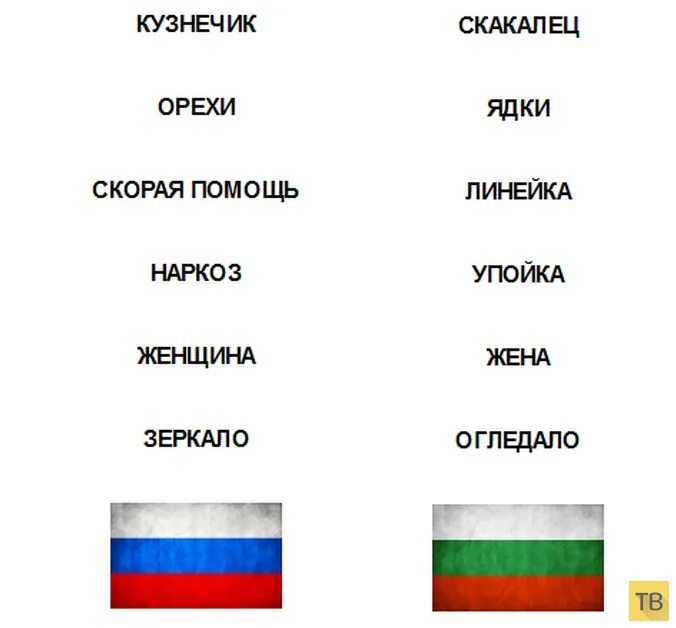 Сербский похож на русский. Болгарский язык. Болгарский и русский языки. Болгарский язык слова. Выучить болгарский язык.