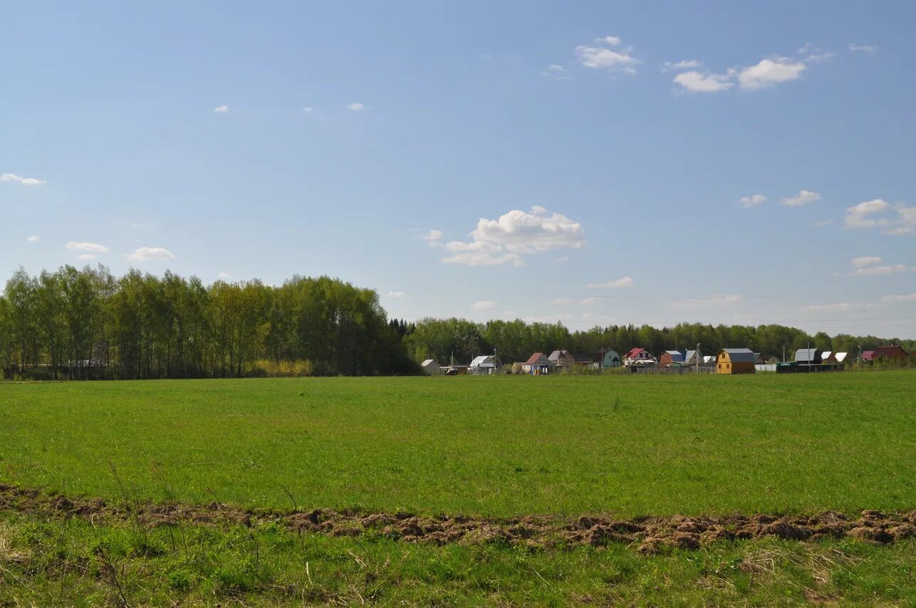 Ромашкино купить участок. Жальское Чеховский район. Ромашкино 3. Фото земельного участка без строений. Лесные озера Чеховский район.