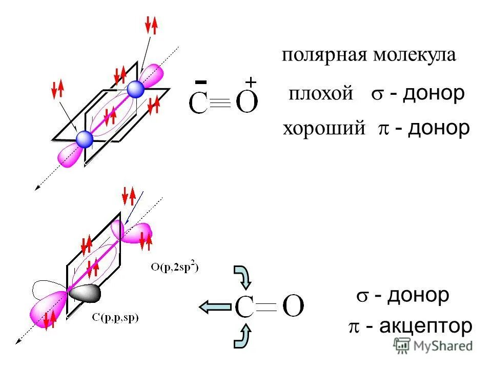 Молекулы доноры. Полярность и неполярность молекул. Полярные молекулы. Полярные и неполярные молекулы. Полярные молекулы это в химии.