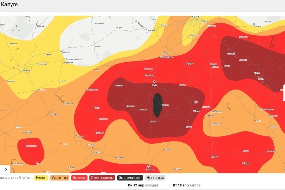 Карта пыльцы березы. Облако пыльцы в Москве. Карта пыльцы березы Пермь 9 мая 2023. Пыльца березы в Москве. Гисметео пыльца березы
