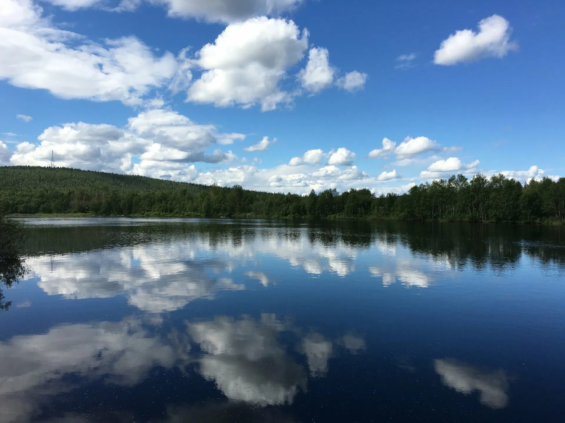 Серебряное озеро псков. Зеркальное псков. Зеркальное псков. Озеро зеленец. Зеркальные озера в псковской.