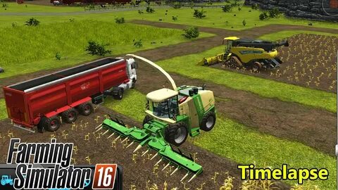 Farm 16