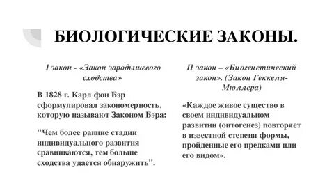 Что такое закон биология 5 класс кратко