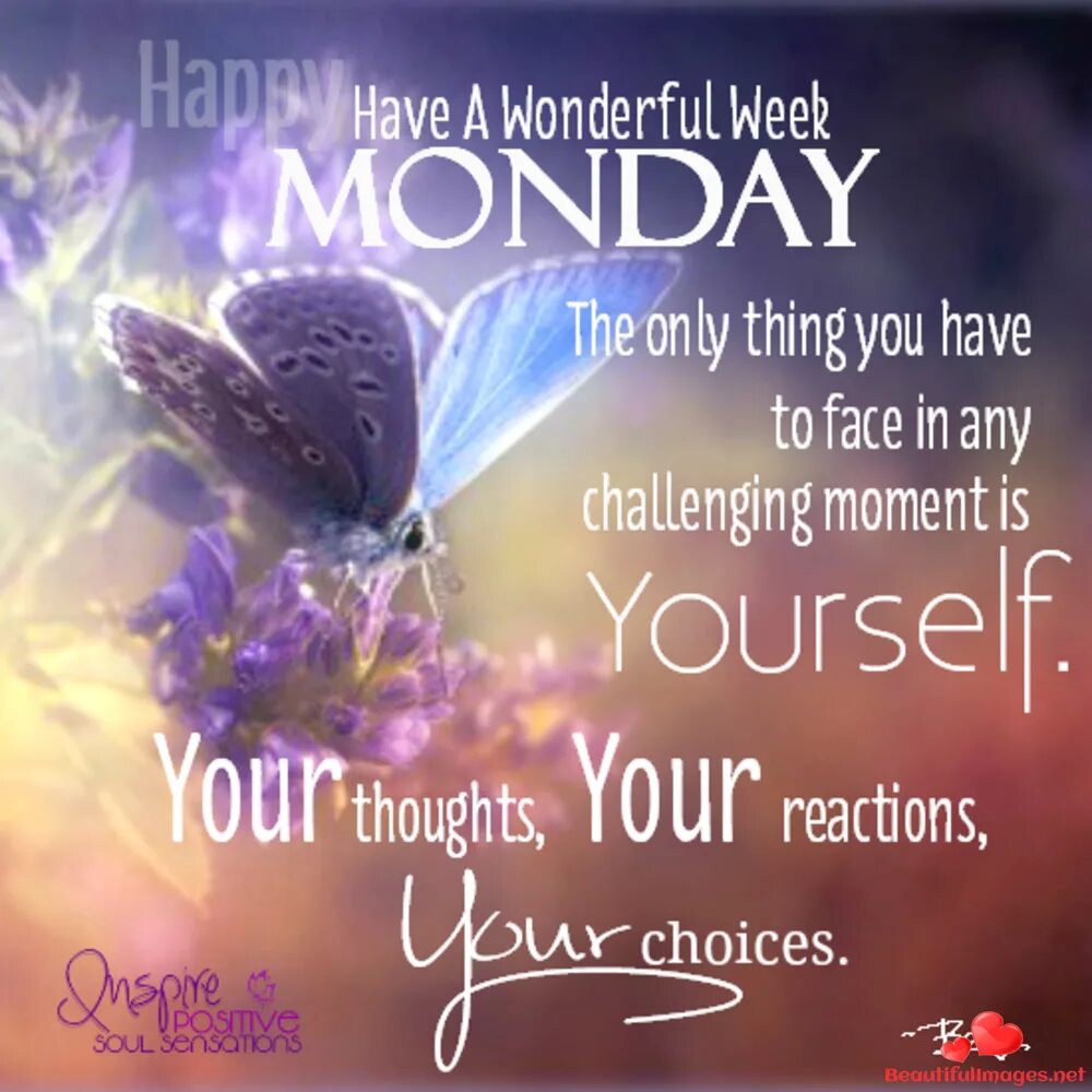 We went for a fantastic week. We went for a fantastic week. We went for a fantastic week. We went for a fantastic week. Monday wish.