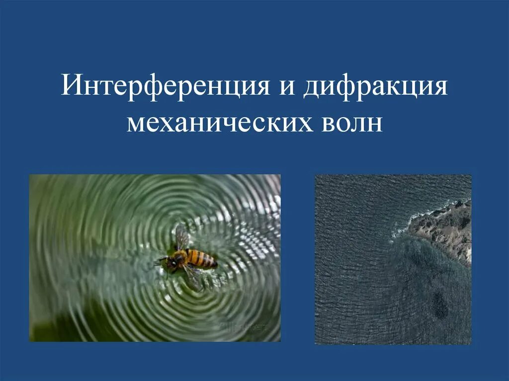 Презентация интерференция дифракция. Интерференция и дифракция механических волн. интерференция волн и дифракция волн. интерференция механических волн. дифракция механических волн.