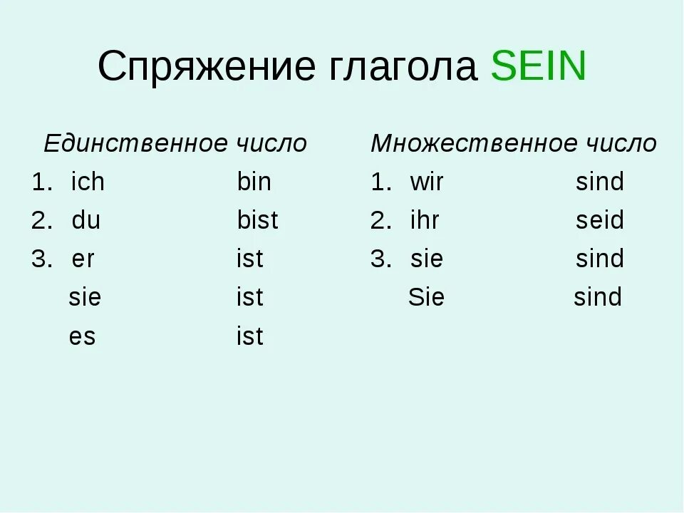 Правильную форму глагола sein