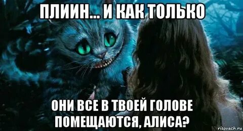 Алиса я хочу шарики