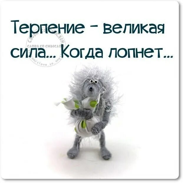 Терпение лопнуло. Фразы прикольные про терпение. терпение цитаты смешные. смешные высказывания про терпение.