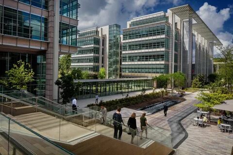 Green center