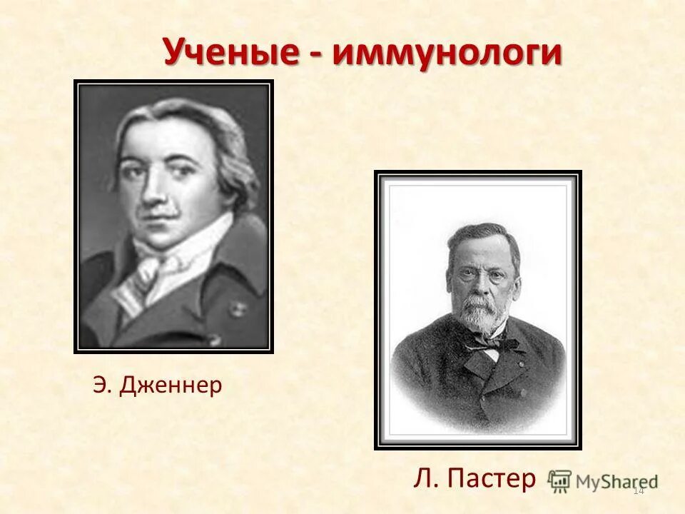 Пастер в церкви. Ученые иммунологи. Э Дженнер. Дженнер и Пастер. Работы Дженнера и Пастера.