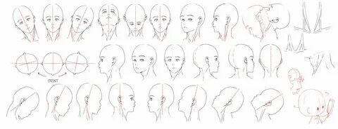 Head lang en