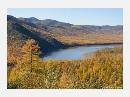 Река колыма республика