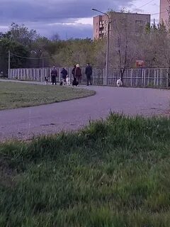 Территория 25