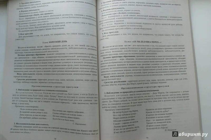Программа от рождения до школы прогулка. Программа от рождения до школы прогулка