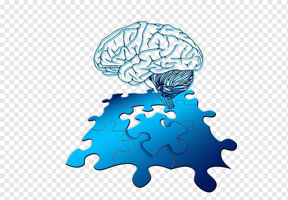 Мозг пазл. Головоломка череп на 3д принтере. Человеческий мозг пазл. Головоломка brain. Головоломка brain.