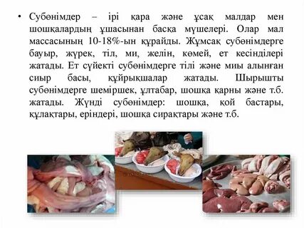 Ұсақ және үлкен мүшесі