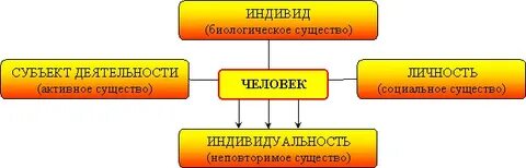 Индивид и общество в философии