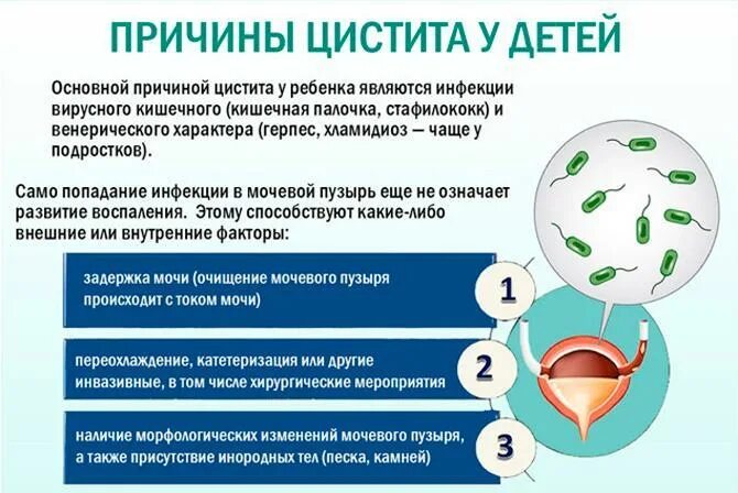 Цистит можно греть бутылкой. Причины проявления цистита. Факторы появления цистита. Цистит симптомы и профилактика. Цистит причины.