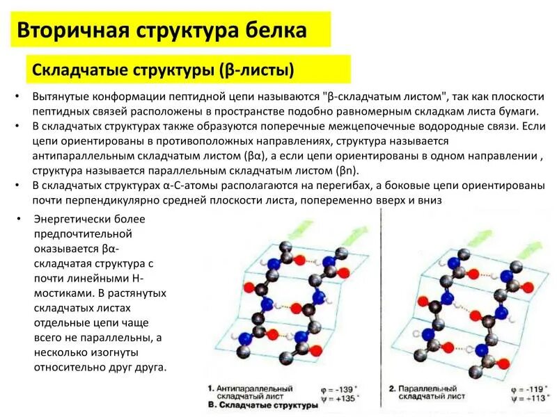 Вторичная структура какие связи. Бета складчатость вторичной структуры белка. Вторичная структура белка бета конформация. Вторичная структура белка листы. Вторичная структура белка бета складчатая структура.