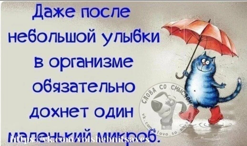 Отличное настроение цитаты. Позитивные высказывания. позитивные высказывания для поднятия настроения. афоризмы про настроение. афоризмы про улыбку и хорошее настроение.