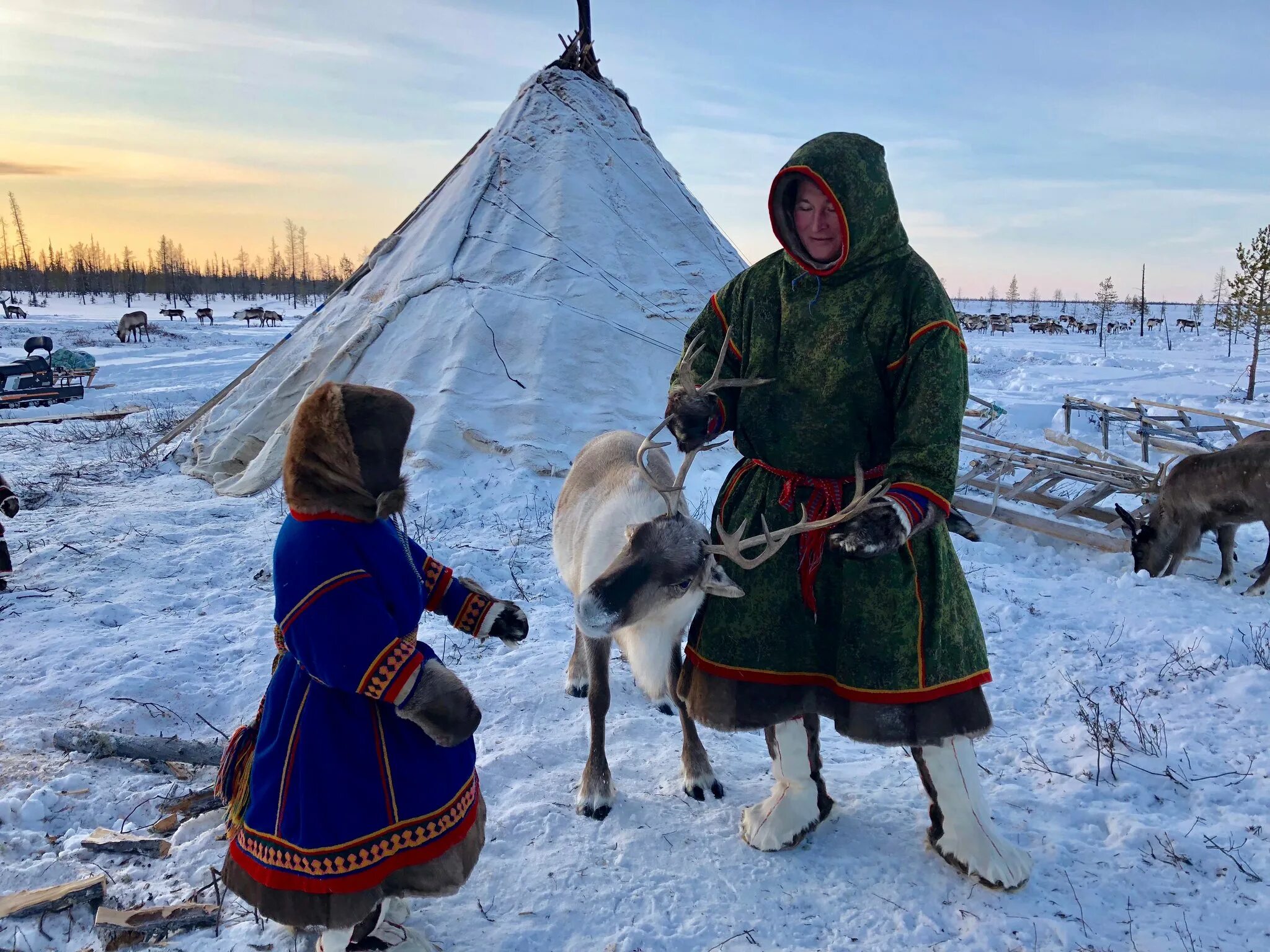 Ненцы районы проживания