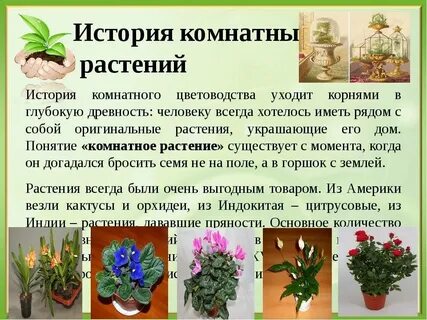 Растения и их история