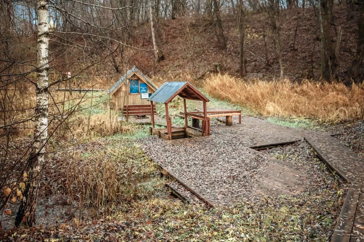 Деревня Тукай Нижегородская область. Родник, Святой источник село Спасское. Село Спасское Карашев колодец. Родник в Луцино. Родники нижегородской области