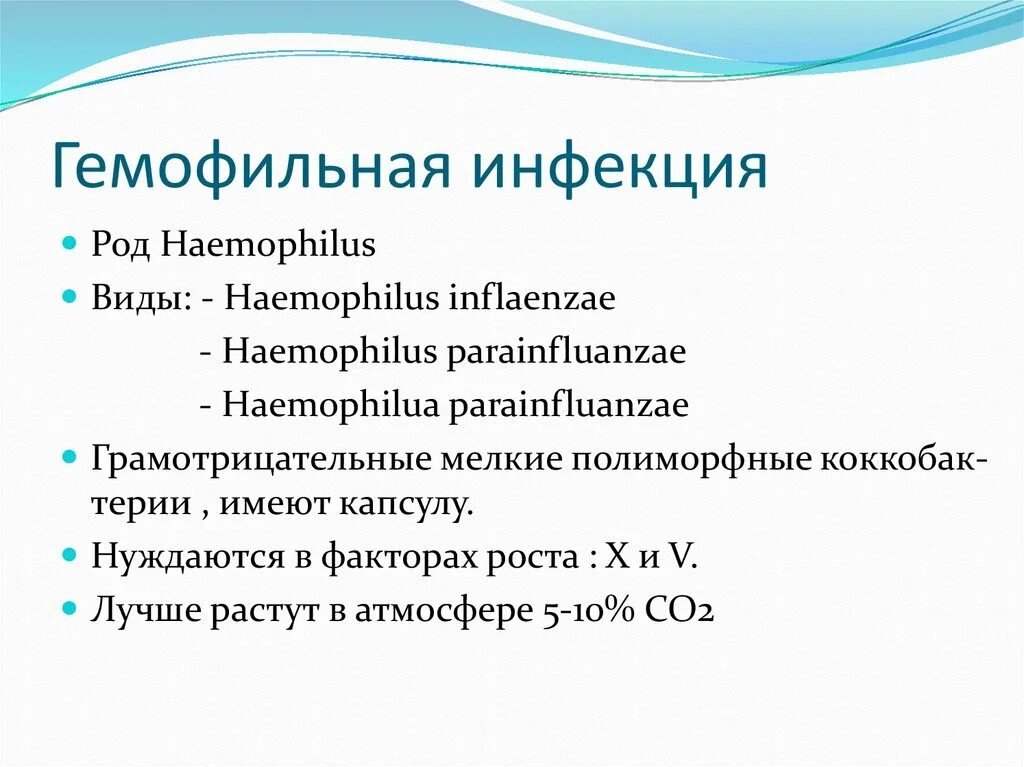 Гемофильная инфекция типа в. Род Haemophilus. Гемофилы инфлюэнцы таксономия. Систематика гемофильной инфекции. Haemophilus influenzae 10