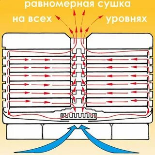 Сушилка для овощей принцип работы
