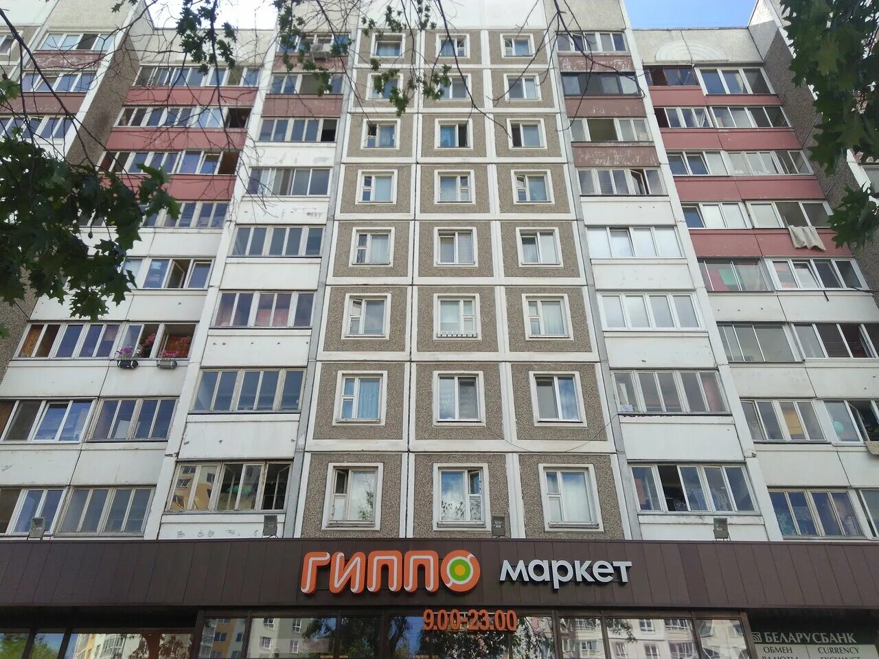 Гиппо червякова 57