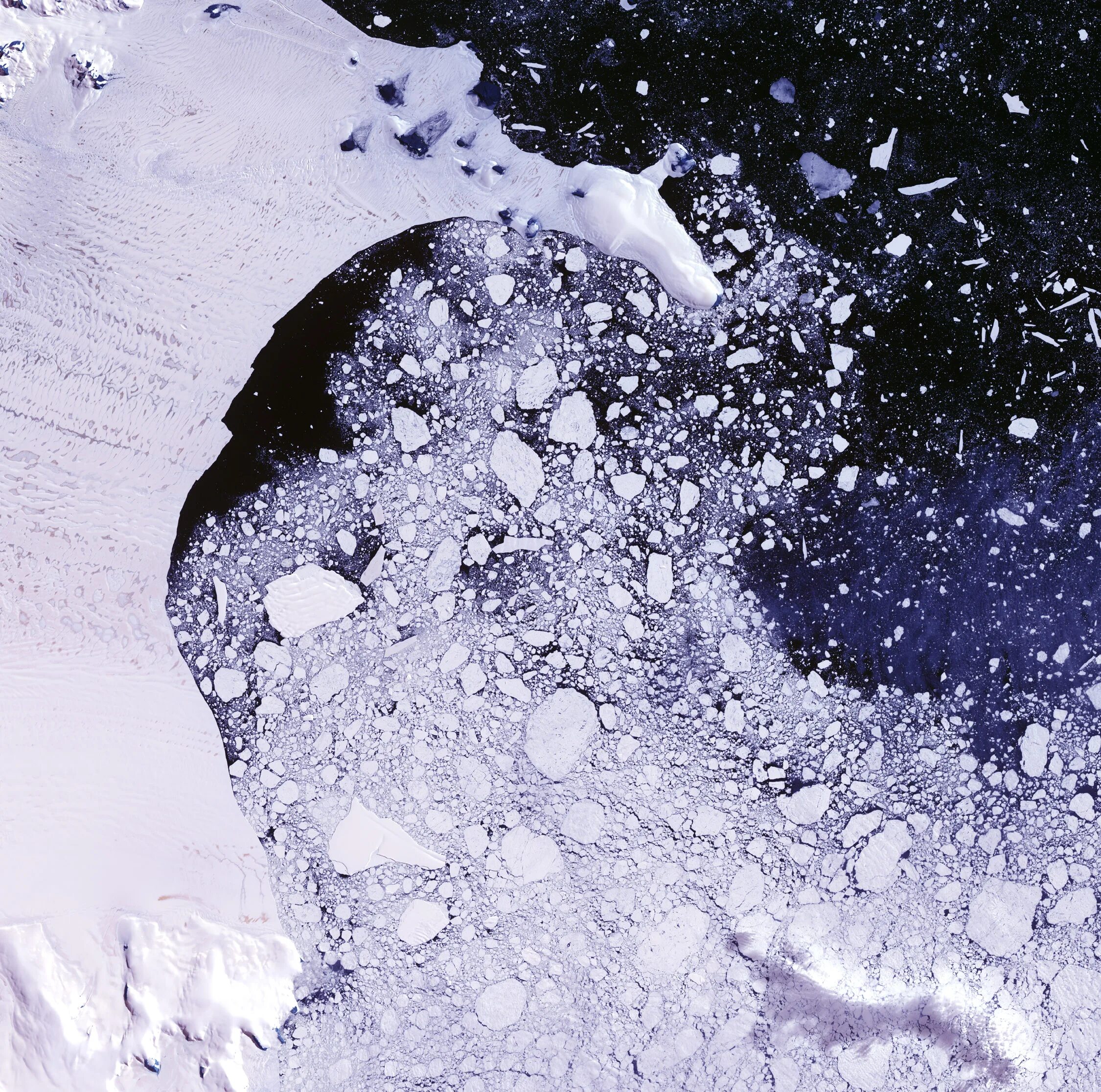 Сломай мой лед. Разбитый лед. Лед на поверхности воды. Шельфовый ледник Ларсена. Антарктида фон.