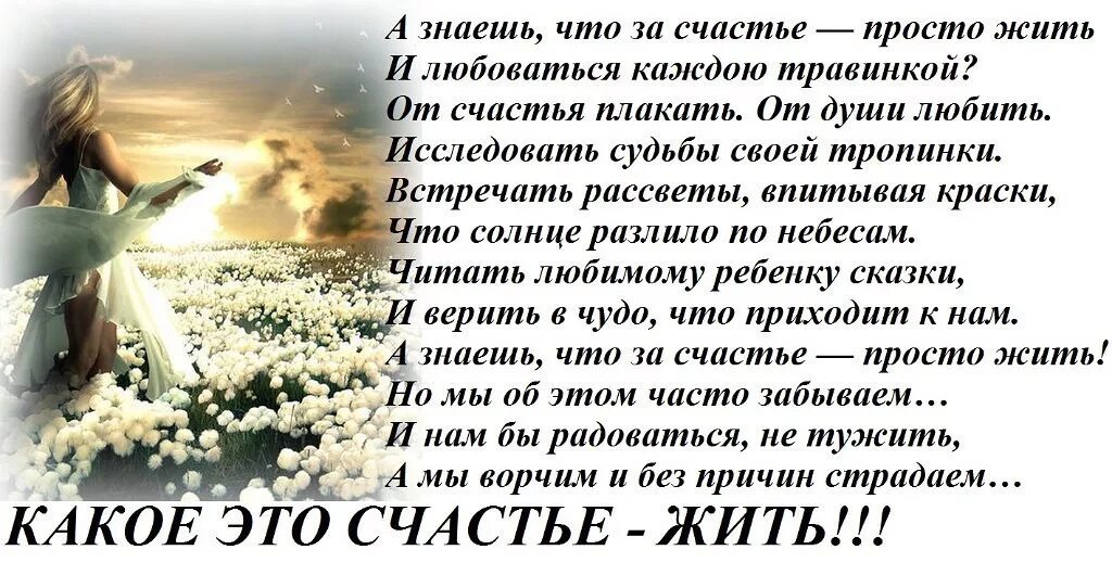 Помните что на свете есть. Стихи о жизни и счастье. Стихи про счастье красивые. Стихи о счастье и любви. Стихи о счастье жить.