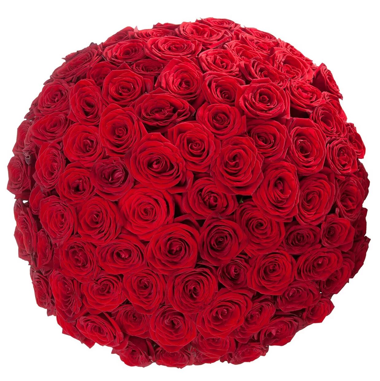 Сколько стоит букет цветов роз. Букет из красных роз (101роза).