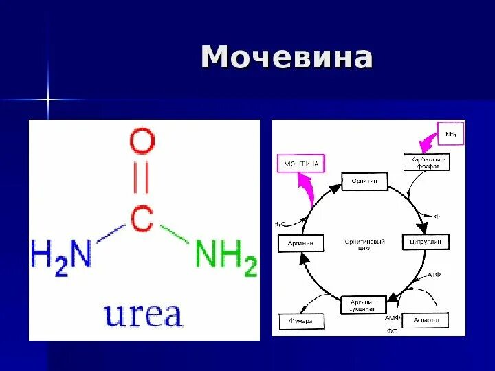 Мочевина – источник:. Мочевина рисунок. Мочевина внешний вид. Мочевина это в биологии. Польза мочевины