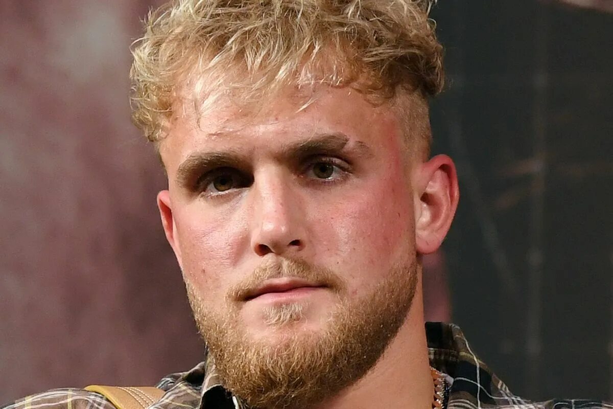 Джейк паул. Jack Paul боксер. Джейк пол блоггер. Jake Paul 2021.